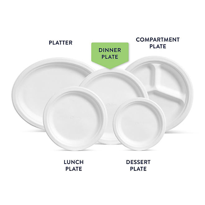Chinet Classic Dinner Paper Plates, 10.375", 165 ct