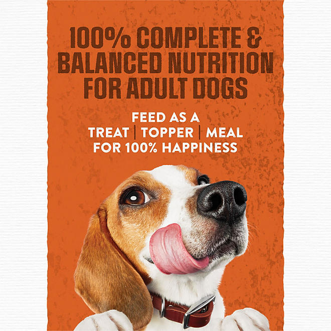 Purina Moist & Meaty Burger with Cheddar Cheese Flavor, Adult Dog Food, 6 oz., 60 ct